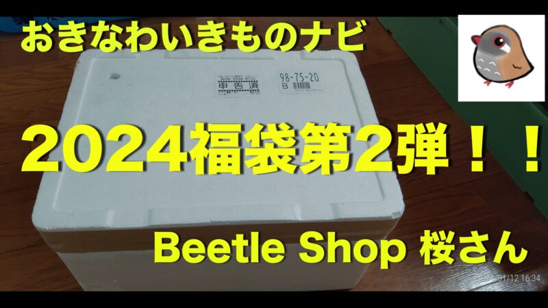 Beetle Shop桜福袋